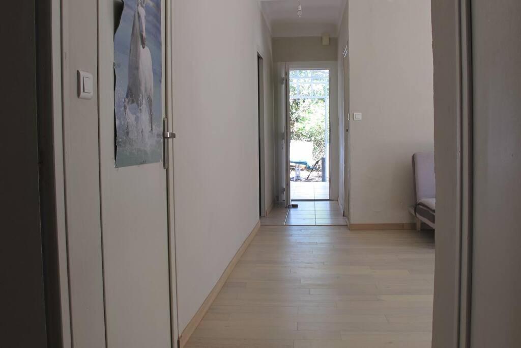 Maison De Lumineuse Avec Jardin Apartment *